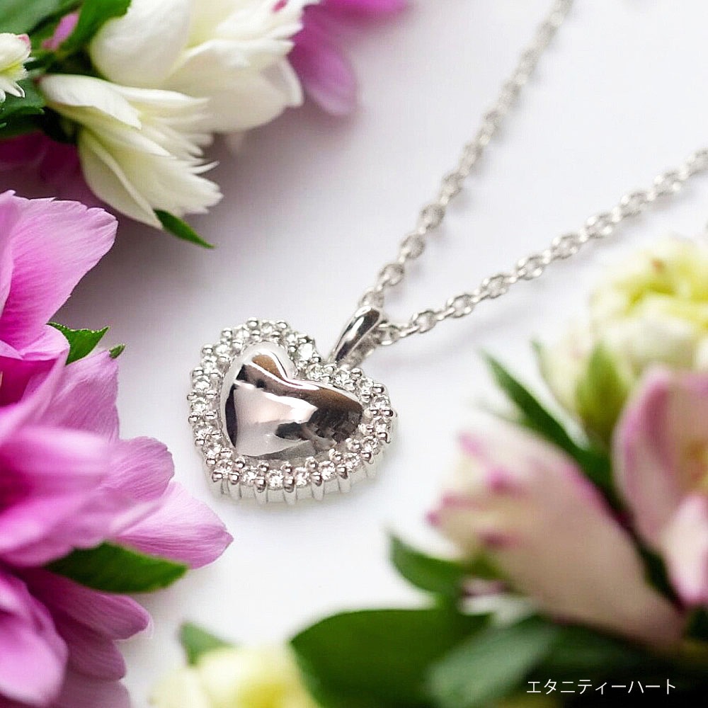 ����ڥ����� �����른�奨�꡼ �����˥ƥ��ϡ��ȡ�SILVER(����С�)�ߥ��륳�˥�