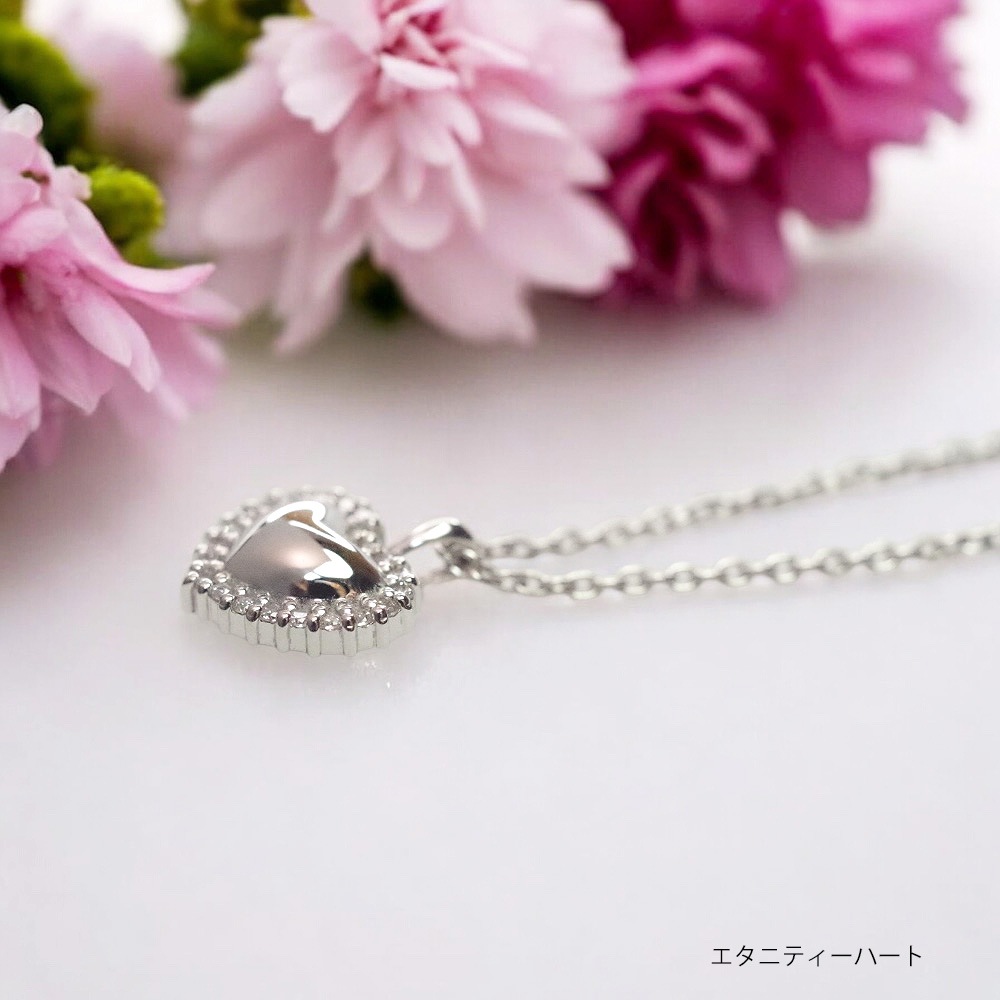 ����ڥ����� �����른�奨�꡼ �����˥ƥ��ϡ��ȡ�SILVER(����С�)�ߥ��륳�˥�