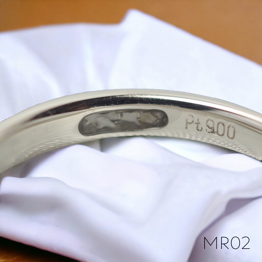 MR02/Pt900ۥꥢMR02 ϶⡧Pt900 (ץʡ   ɿλء