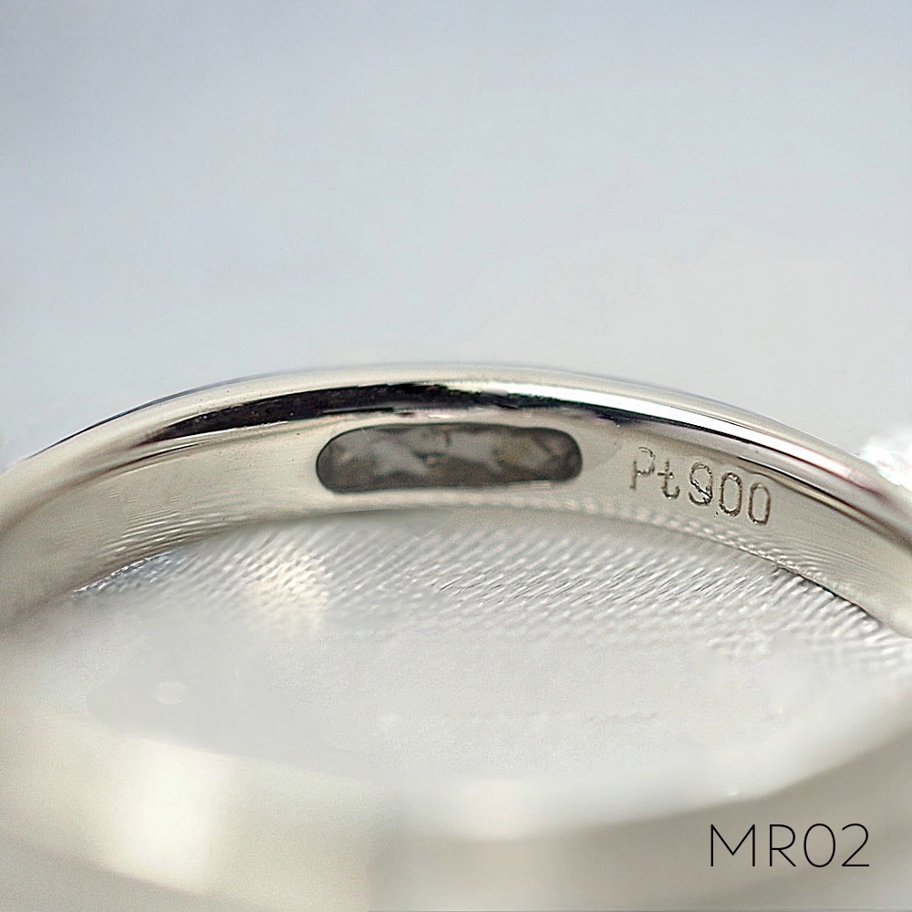MR02/Pt900ۥꥢMR02 ϶⡧Pt900 (ץʡ   ɿλء