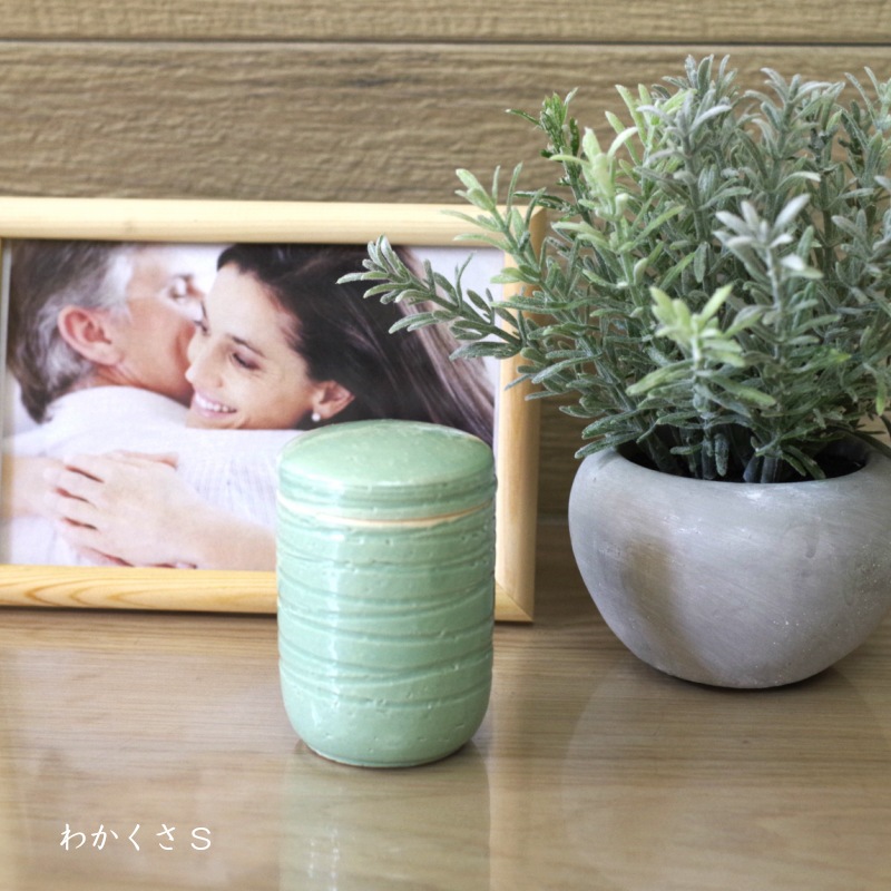 �ڼ긵���ܡۥߥ˹��� [��������/�狼���� S������] (Ǽ������) ���ھ�