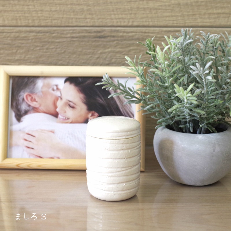 �ڼ긵���ܡۥߥ˹��� [��������/�ޤ�����S������] (Ǽ������) ���ھ�