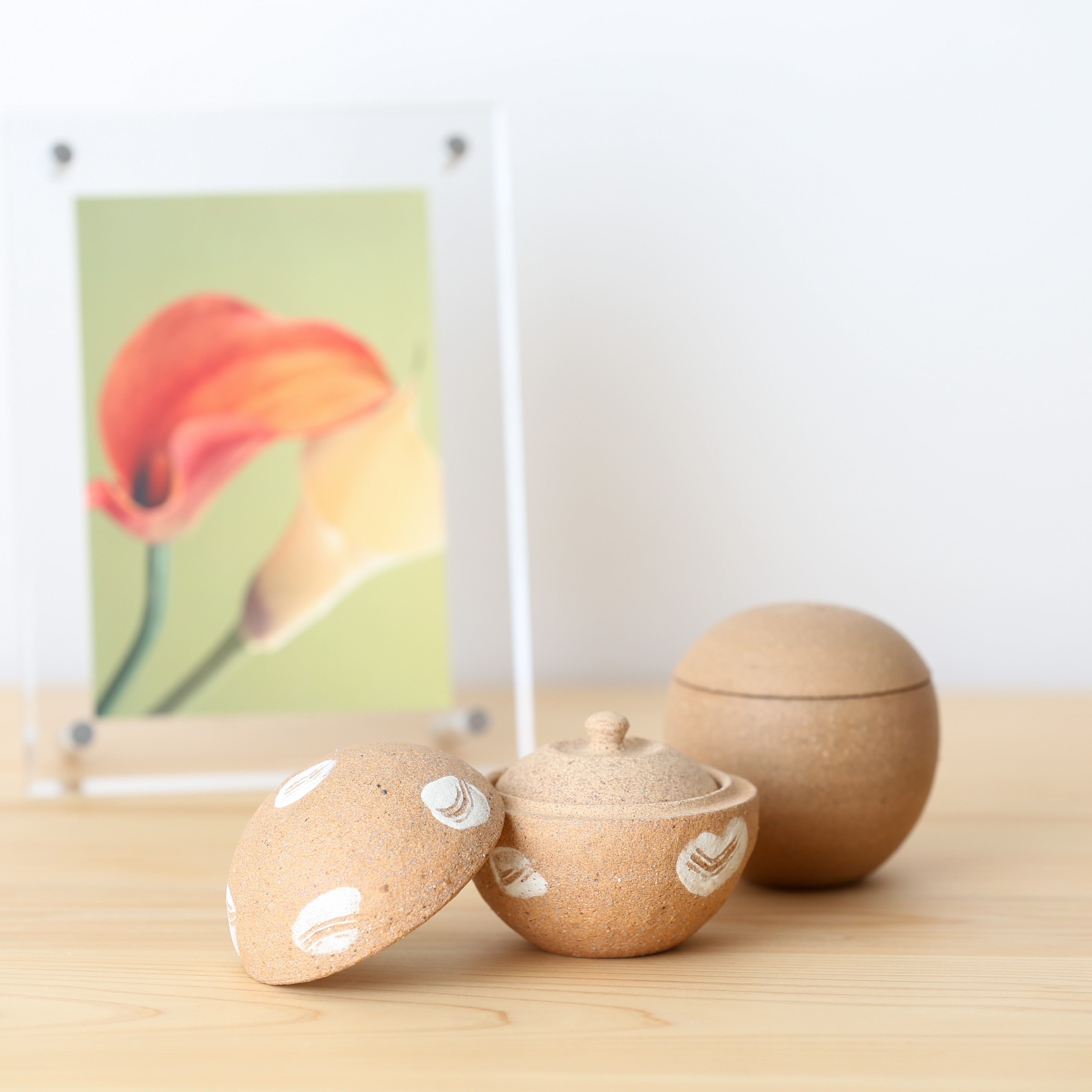 �ڼ긵���ܡۥߥ˹��� [Moter���꡼��/���� ������] (Ǽ������) ���ھ�