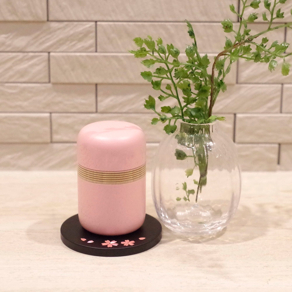 ���ơ����ݡ���ǭ�� ľ��7cm���ٲϼ���������ٹ���ܤ����������Ѥ�����