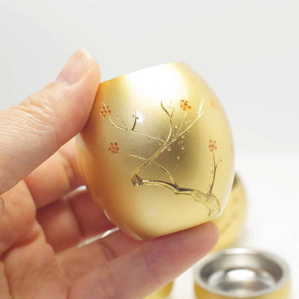 ����ѥ��Ȥ�ʩ�񥻥åȣ���­���ߥˤޤ룵�����åȡ����顼���������Ħ��ʽչ����