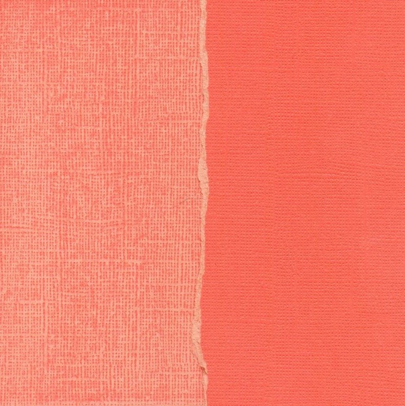 ��50%OFF SALE��Core' dinations GX-SO030-12 ��Core Essentials�� �����ɥ��ȥå��ڡ��ѡ� Flame B-3-14-101