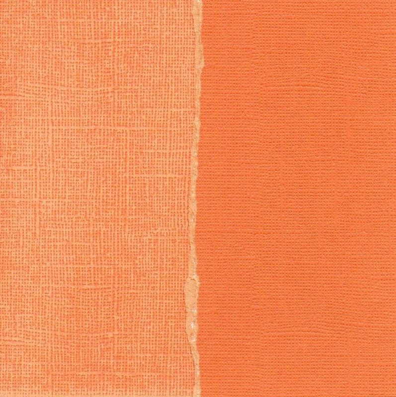 ��50%OFF SALE��Core' dinations GX-AO030-12 ��Core Essentials�� �����ɥ��ȥå��ڡ��ѡ� Sequoia A-4-19-101