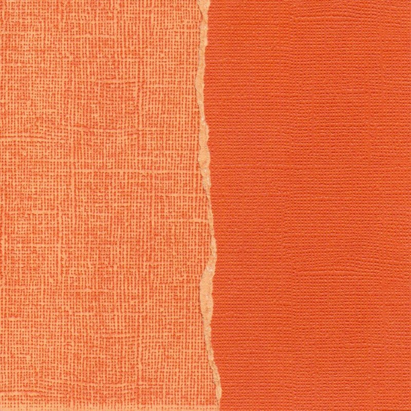 ��50%OFF SALE��Core' dinations GX-AO040-12 ��Core Essentials�� �����ɥ��ȥå��ڡ��ѡ� Rustic B-3-20-101