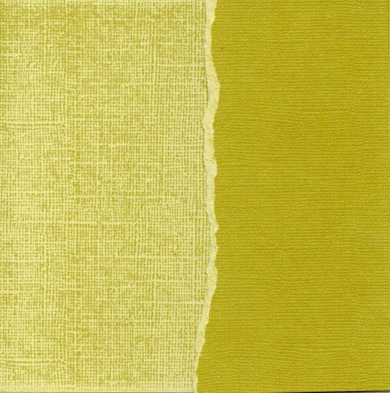 ��50%OFF SALE��Core' dinations GX-OG020-12 ��Core Essentials�� �����ɥ��ȥå��ڡ��ѡ� Palm Grove B-3-11-1011