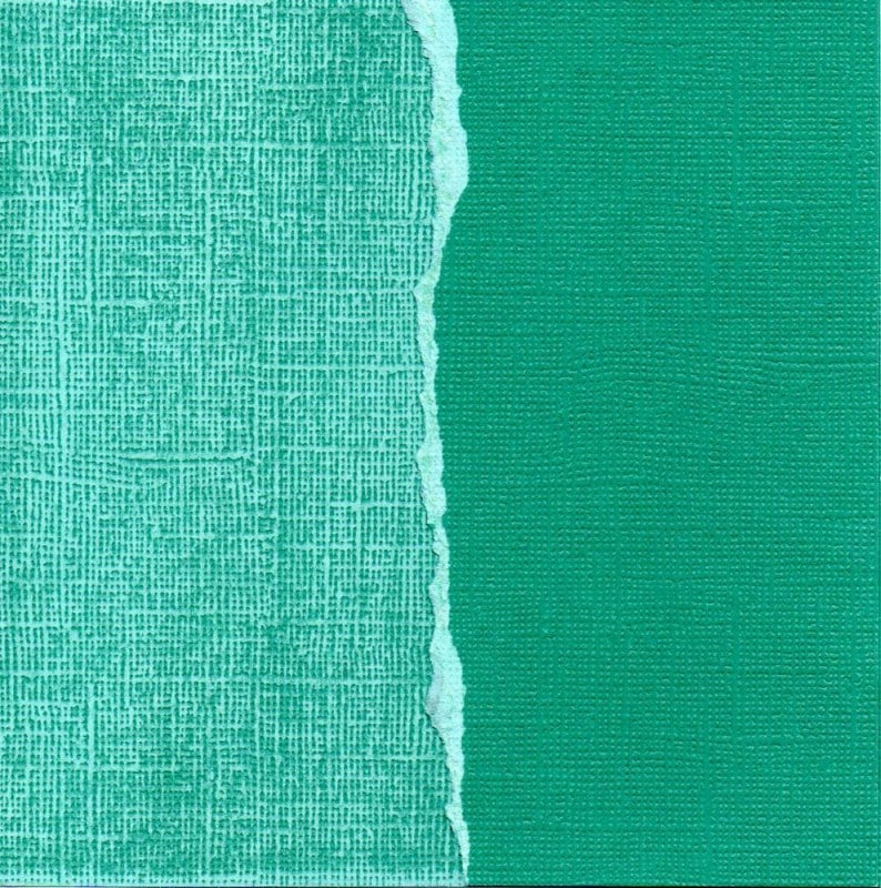 ��50%OFF SALE��Core' dinations GX-OS030-12 ��Core Essentials�� �����ɥ��ȥå��ڡ��ѡ� Seaweed B-3-14-101