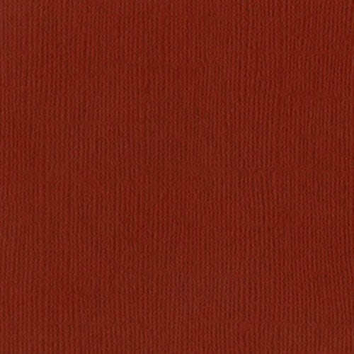 �Х��� 309008 Cajun ������� T2-224 A-2-21=22