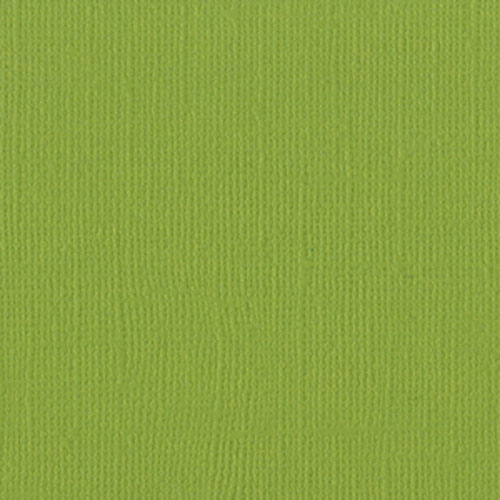 Х 309237 Parakeet ѥ饭 T5-510 A-2-12