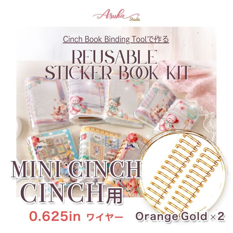 Cinch�Ǻ�륷����Ģ�����ڥ���륭�åȡʥ磻�䡼0.625in / Orange Gold x2�ܡ�