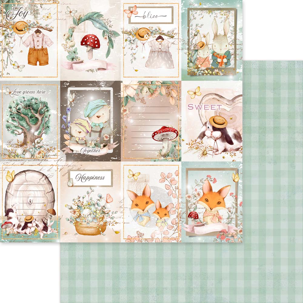 40%off-FlashSaleMP-61266 My Family 12x12 Collection Pack