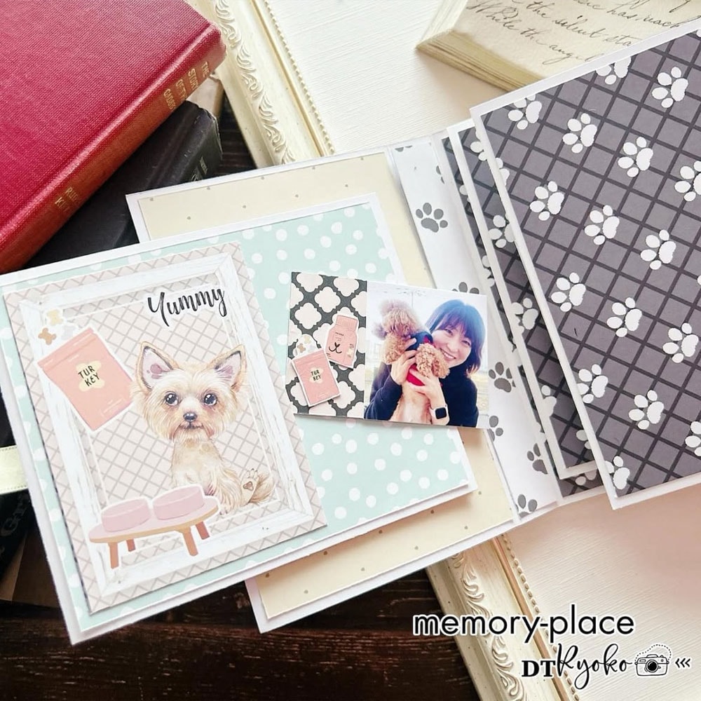 ڥХåʥС DT-DTS_Vol.10 襤ʤ̩ؤ٤! DTǥ󥻥꡼꡼10: ٥Ǻ̤뵤ȥȡ꡼