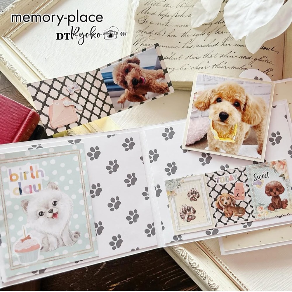 ڥХåʥС DT-DTS_Vol.10 襤ʤ̩ؤ٤! DTǥ󥻥꡼꡼10: ٥Ǻ̤뵤ȥȡ꡼