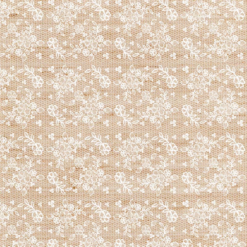 MP-61055 Denim Daydream 12x12 Rebecca