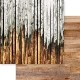 MP-61456 Vintage Woodwork 6x6 Collection Pack