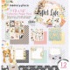 MP-61671 Pet Life 12x12 Collection Pack