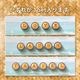 ڥ֥ץ̵MP-61642 Sunkissed Summer Subscription Box 2025 Vol.1