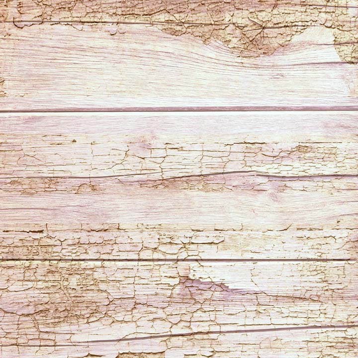 MP-60817  Enchanted 12x12 Windflower