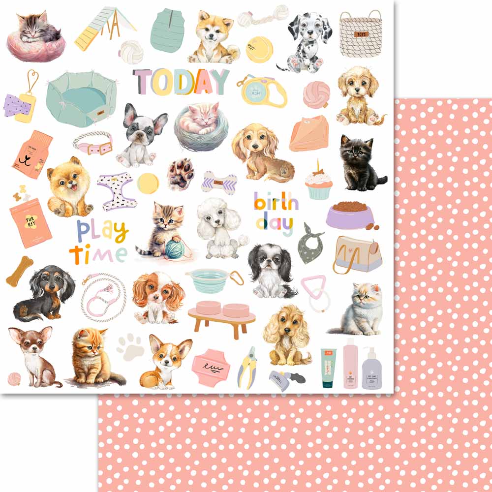 MP-61678 Pet Life 6x6 Collection Pack