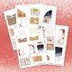 �ڥХå��ʥ�С���MP-61714 Kawaii Paper Goods Joy 2025 Vol.2