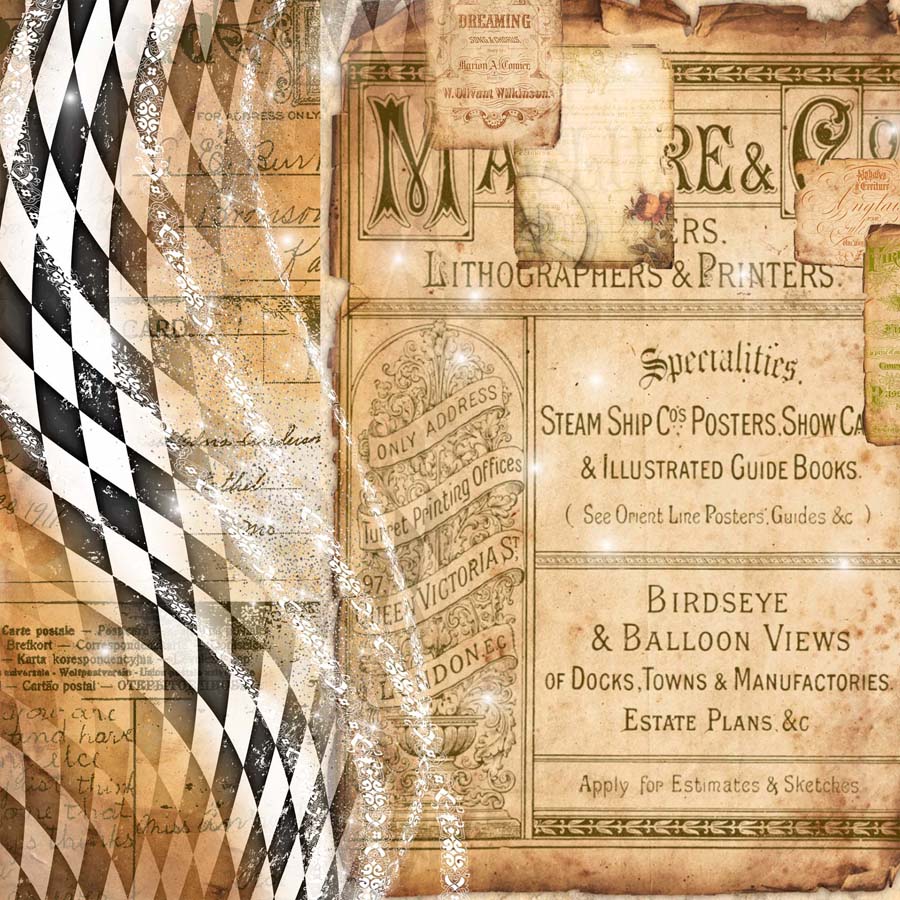 MP-61006 Wonderland Curious