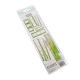 50%OFF SALE49-VB-37766 Vintage Bits Essential Filmstrips FERN