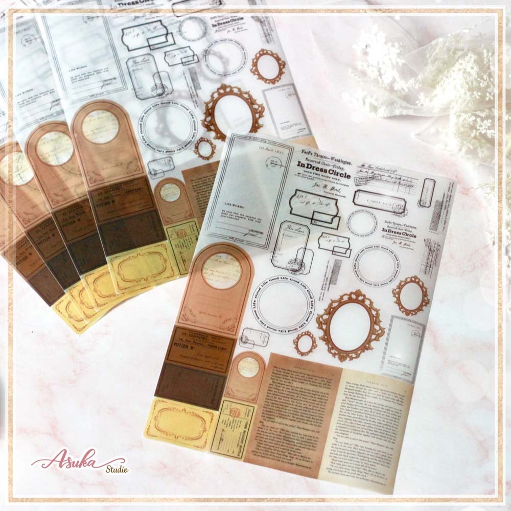 MP-61531 ࡦ顼奷 5祻å