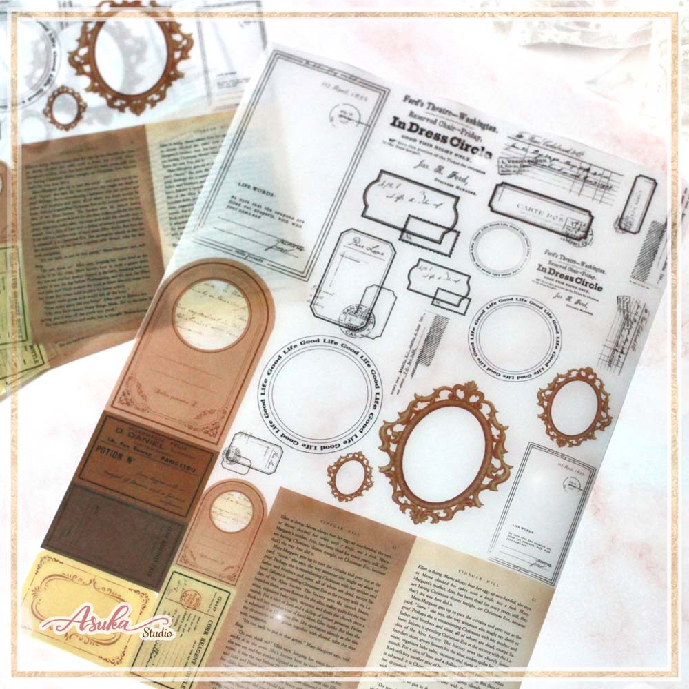 MP-61531 ࡦ顼奷 5祻å