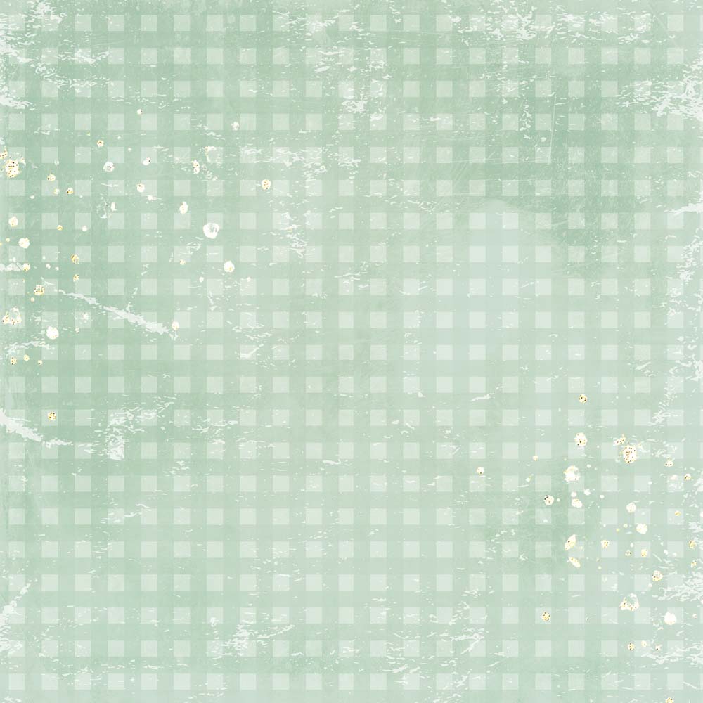 MP-61254 Gingham Love 2 12x12 Wave