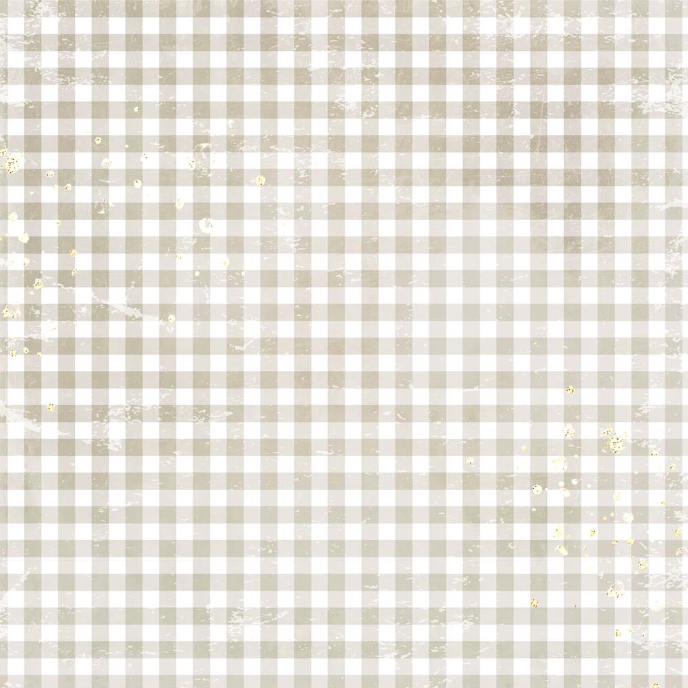 MP-61257 Gingham Love 2 12x12 Taupe