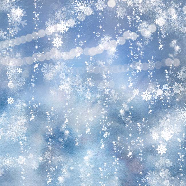 ��50%OFF SALE��MP-60289 12x12 Winter Wonderland