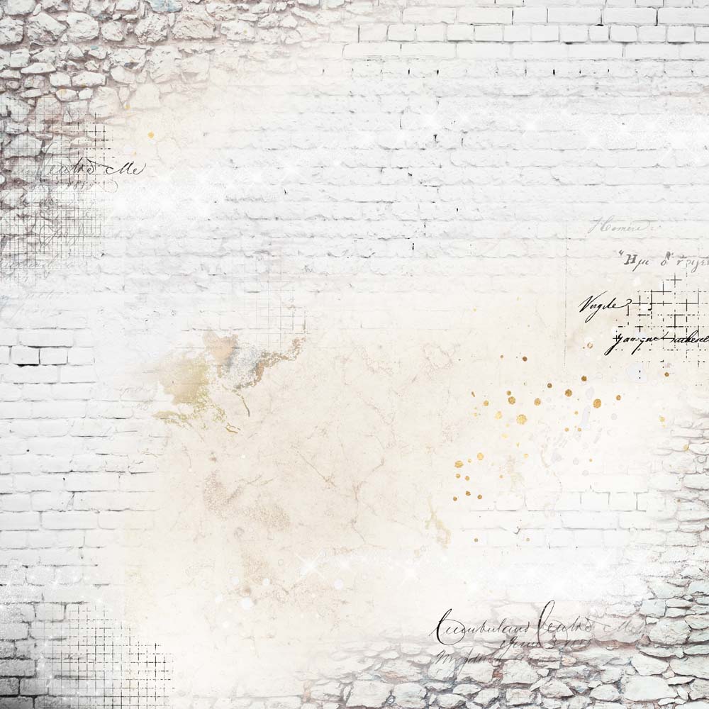 ��USA���͡�MP-60639  Spellbound Simple Style 12x12 Focus