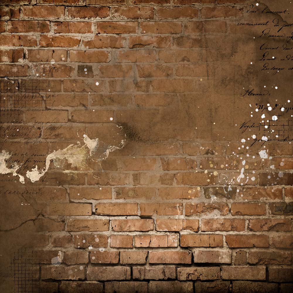 ��USA���͡�MP-60639  Spellbound Simple Style 12x12 Focus