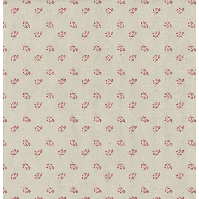 MP-60153 6x6 Peter's World Collection Pack 10������