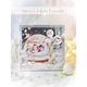 MP-61849 23rd Anniversay Special Kit