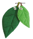 쥫ΥեդäѤοƻ
