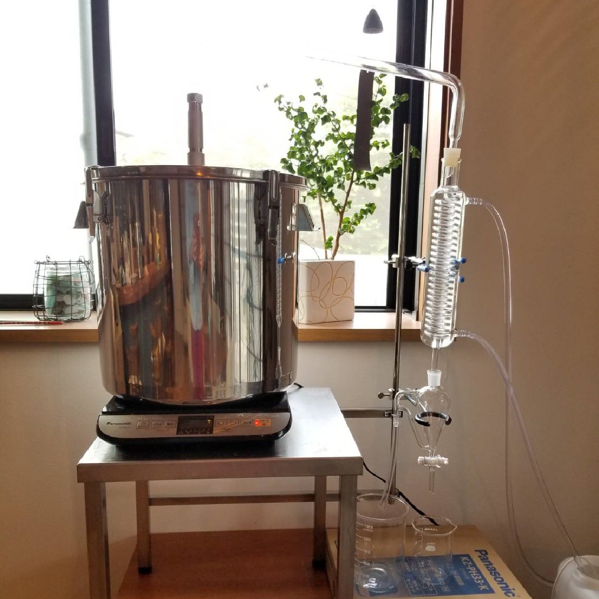 ϰޥ2025Ԥιhinataʵإѥå300g