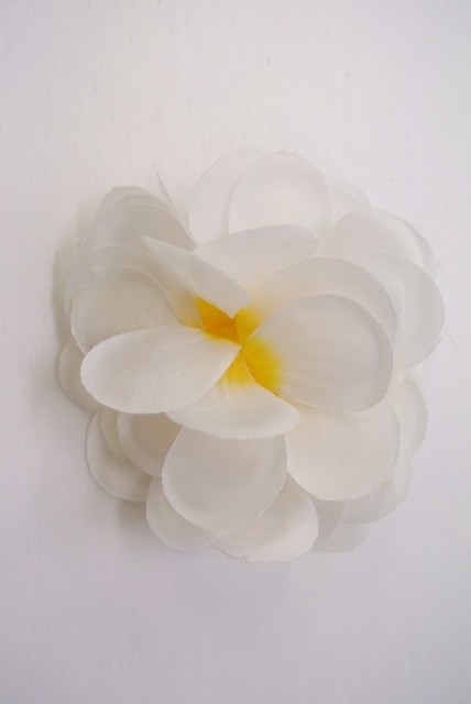 プルメリアダブル ヘアクリップ