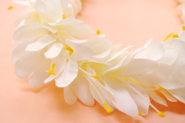 カヒリジンジャー　ヘッドバンド　［ホワイト］