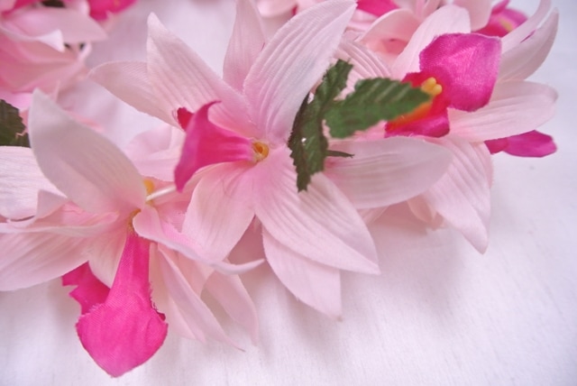 オーキッド　ヘッドバンド　［ピンク］