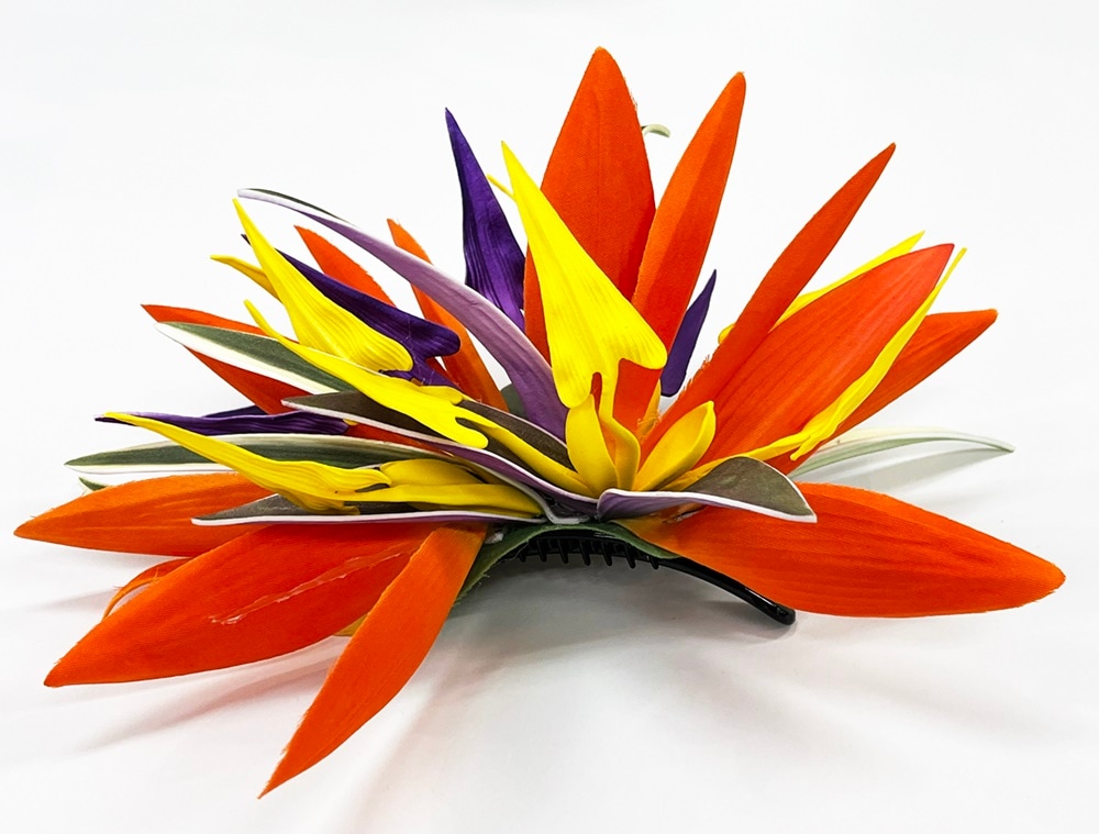 バードオブパラダイス クリップ