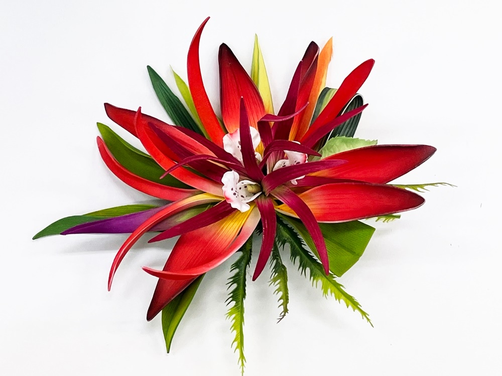 オーキッドとパラダイスリーブス クリップ