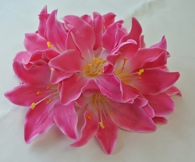 ニューリリークリップ　（ピンク）