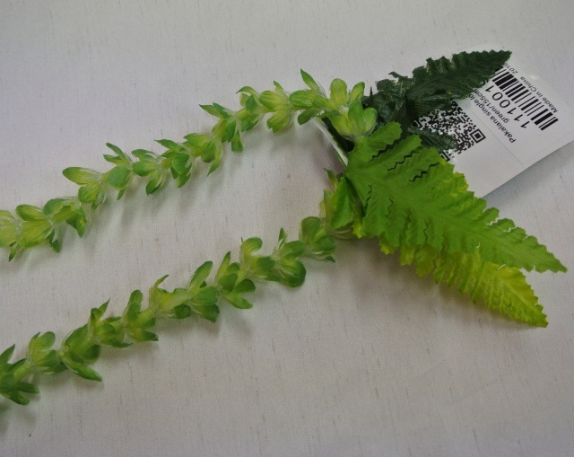 ファーンが3枚付いています