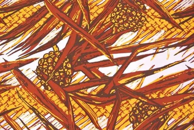 モアエ　　1メートル [ブラウン/ハライエロー]