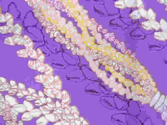 ププ　オ　ニイハウ 　 1メートル　[ライラック]