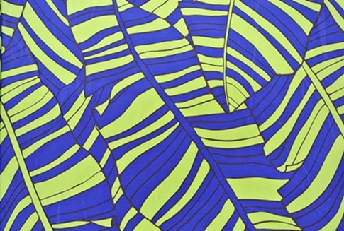 Ａｋａ　Ｏ　ａｎｕｅｎｕｅ　ア カオ アヌエヌエ 1メートル ［ネイビーブルー/ライムグリーン]